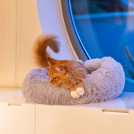 Ferplast CUDDLY 60 CUSHION GREY Лежак для собак і котів — Фото 4