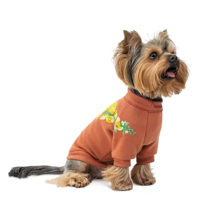 Толстовка Pet Fashion Miley для собак розмір S — Фото 2