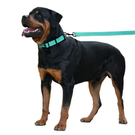 Нашийник для Собак BronzeDog Active Нейлоновий зі Світловідбиттям та Пластиковою Пряжкою Ментоловий L — Фото 8