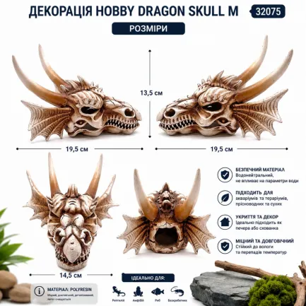 Декорація череп дракона Hobby Dragon Skull M 19,5×14,5×13,5 см для акваріума і тераріума (32075) — Фото 4