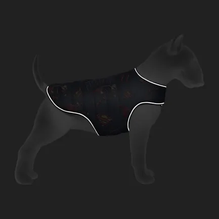 Курточка-накидка для собак WAUDOG Clothes, малюнок "Сила Супермена", XXS, А 23 см, B 29-36 см, С 14-20 см — Фото 3
