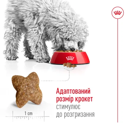 Сухий корм Royal Canin MINI ADULT для дорослих собак малих порід 2 кг — Фото 4
