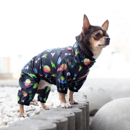 Вітровка для собак WAUDOG Clothes, малюнок "Рік та Морті 2", XS22, В 30-34 см, С 19-21 см — Фото 3