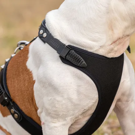 Ferplast GIOTTO P L-XL HARNESS LUXOR Шлея, шкіра — Фото 5