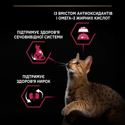 Сухий корм PRO PLAN Sterilised Adult 1+ Savoury Duo для дорослих котів після стерилізації з тріскою та фореллю 10 кг — Фото 5