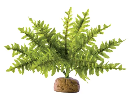 Рослина Exo Terra Boston Fern для тераріуму на підставці, мала