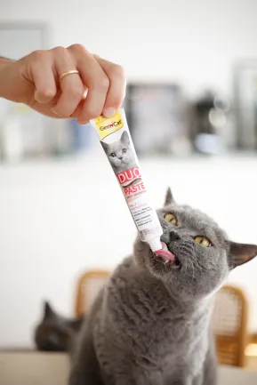 Паста для котів з чутливим травленням GimCat DUO PASTE Anti-hairball malt with chicken мальт та курка, 50 г — Фото 4