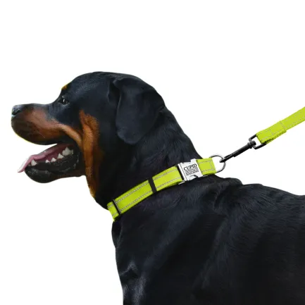 Нашийник для Собак BronzeDog Active Нейлоновий зі Світловідбиттям та Металевою Пряжкою Салатовий M — Фото 3