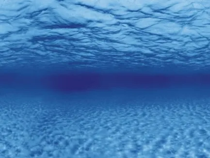 Акваріумний задній фон Aqua Nova Синє море/Камені з корчами 60x30см (TREE ROOTS/WATER S) — Фото 3