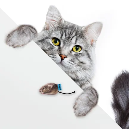 Іграшка для Котів Barksi Мала Полівка з дзвіночком — Фото 2