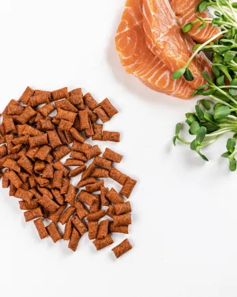 Хрумкі ласощі Savory Snack Подушечки для вибагливих котів, з лососем, 60 г — Фото 4
