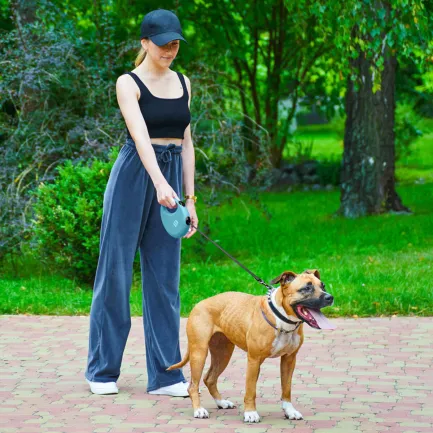 Повідець-рулетка для собак WAUDOG R-leash з контейнером для пакетів, світловідбивна стрічка, L, до 40 кг, 5 м, блакитний — Фото 2
