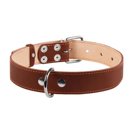 Нашийник "CoLLaR" подвійний (ширина 35мм, довжина 48-63см) коричневий — Фото 1