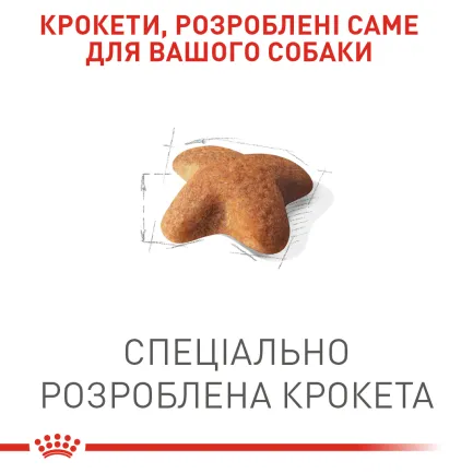 Сухий корм Royal Canin BEAGLE ADULT для дорослих собак породи Бігль 3 кг — Фото 5