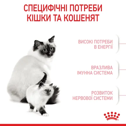 Сухий корм Royal Canin MOTHER&amp;BABYCAT для кошенят всіх порід 0,4 кг — Фото 3