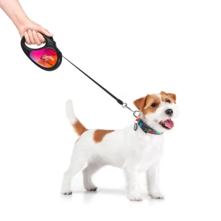 Повідець-рулетка для собак WAUDOG R-leash, малюнок "Конотопські магічні війська", M, до 25 кг, 5 м, світловідбиваюча стрічка чорний — Фото 7