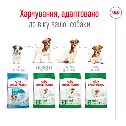Сухий корм Royal Canin MINI ADULT 8+ для собак зрілого віку малих порід 0,8 кг — Фото 1