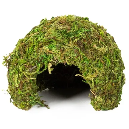 Схованка з моху Repti-Zoo Natural Mossy Dome S 11x10см (ERS25S) — Фото 2