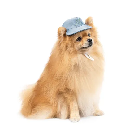 Панама Pet Fashion для собак Blue M — Фото 1