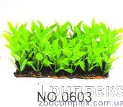 Aquatic Plants (Акватик Плэнтс) Акваріумна рослина, (6х3х6 см) х 6 шт/уп.