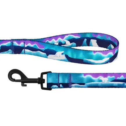 Повідець для собак BronzeDog Urban Travel нейлоновий Арктика XL — Фото 2