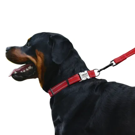 Нашийник для Собак BronzeDog Active Нейлоновий зі Світловідбиттям та Металевою Пряжкою Червоний XL — Фото 3