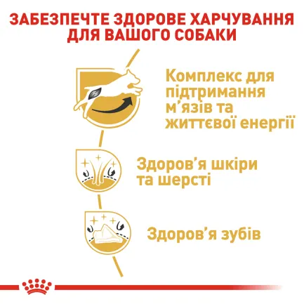 Сухий корм Royal Canin JACK RUSSEL ADULT для дорослих собак породи Джек Расел Тер`єр 7,5 кг — Фото 4