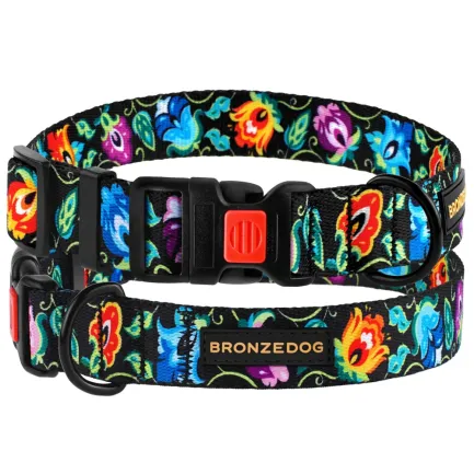 Нашийник для собак BronzeDog Urban Folk нейлоновий із пластиковою пряжкою чорний XL