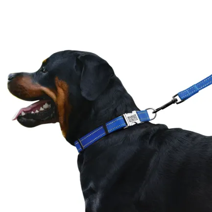 Нашийник для Собак BronzeDog Active Нейлоновий зі Світловідбиттям та Металевою Пряжкою Синій L — Фото 3