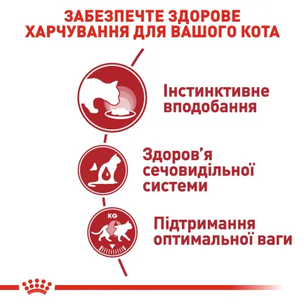 Вологий корм Royal Canin INSTINCTIVE LOAF для котів всіх порід 85 г — Фото 2
