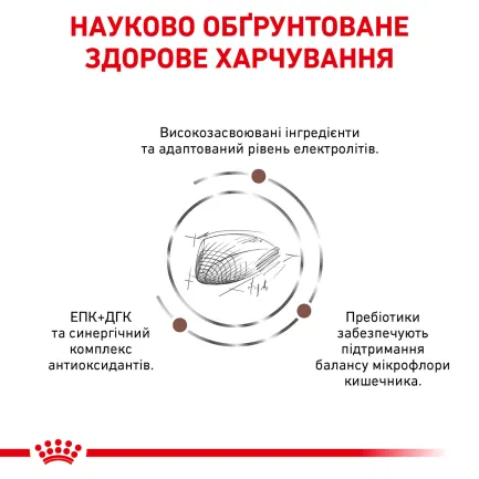 Дієтичний сухий корм Royal Canin GASTROINTESTINAL CAT для котів 2 кг — Фото 3