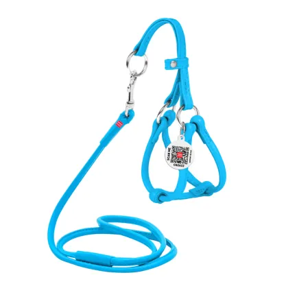 Шлея з повідцем для собак шкіряна WAUDOG Glamour з QR паспортом, кругла, Д 6 мм, А 26-46 см, В 30-50 см блакитний — Фото 1