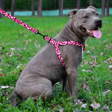 Шлея для Собак BronzeDog Urban Кісточка Нейлонова Рожева M — Фото 4