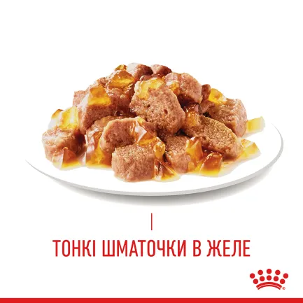 Вологий корм Royal Canin HAIR&amp;SKIN CARE IN JELLY для котів всіх порід 85 г — Фото 4