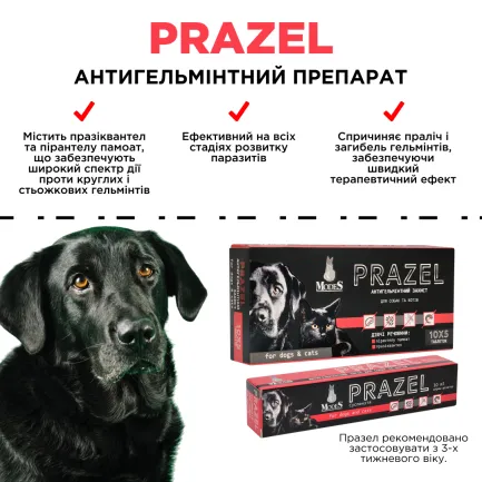 Празел (Prazel) антигельмінтна суспензія для собак і котів 10 мл, MODES — Фото 3