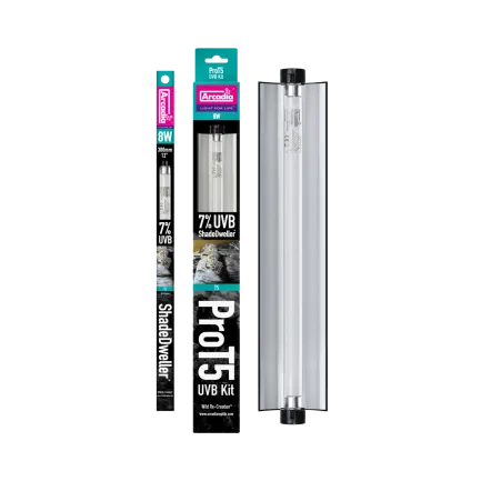 ARCADIA PRO T5 UVB KIT SHADEDWELLER 7% UVB 8 WATT (R2100350) ультрафіолетова лампа для рептилій — Фото 1