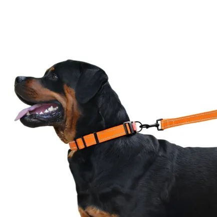 Нашийник для Собак BronzeDog Active Нейлоновий зі Світловідбиттям та Пластиковою Пряжкою Помаранчевий L — Фото 7
