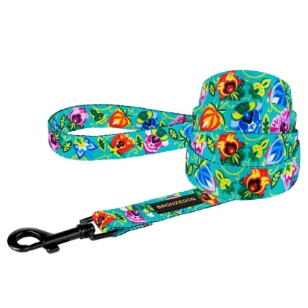 Повідець для собак BronzeDog Urban Folk нейлоновий ментоловий XL