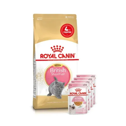Сухий корм Royal Canin KITTEN BRITISH SHORTHAIR для породи кошенят Британська короткошерста кішка 2 кг + 4 WET KITTEN INSTINCTIVE IN JELLY 85г