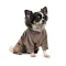 Костюм Pet Fashion «Soft» для собак, розмір M, коричневий (лімітована серія) — Фото 7