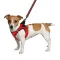Шлея для собак Bronzedog Mesh Vest 3D сітка червона 2XS — Фото 6