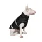 Жилет Pet Fashion «Big Boss» для собак, розмір 2XL, чорний — Фото 5