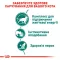 Вологий корм Royal Canin INSTINCTIVE+7 для котів всіх порід 85 г — Фото 9
