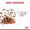 Вологий корм Royal Canin SENSORY FEEL GRAVY для котів всіх порід 85 г — Фото 6