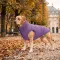 Курточка для собак WAUDOG Re-clothes двостороння, L55, A 52-55, B 77-79, C 50-55, бузковий — Фото 7