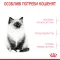 Сухий корм Royal Canin KITTEN для кошенят всіх порід 10 кг — Фото 10