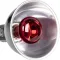 Світильник глибокий рефлекторний Terrario Biosphere Light 75W для локального обігріву тераріумів з керамічним патроном E27 — Фото 15