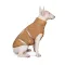 Жилет Pet Fashion для великих собак Big Boss бежевий розмір 3XL — Фото 13