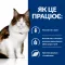 Hill’s Prescription Diet w/d Сухий корм для котів при цукровому діабеті та для контролю ваги, з куркою, 1,5 кг — Фото 12
