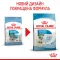 Сухий корм Royal Canin MINI STARTER для дорослих собак малих порід 8 кг — Фото 12